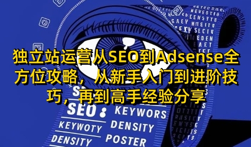 独立站运营从SEO到Adsense全方位攻略，从新手入门到进阶技巧，再到高手经验分享-九鹄轻创网