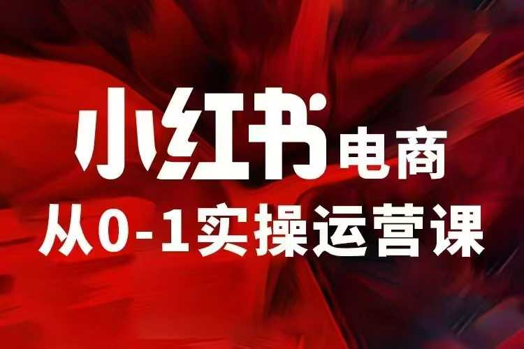 小红书电商运营，97节小红书vip内部课，带你实现小红书赚钱-九鹄轻创网