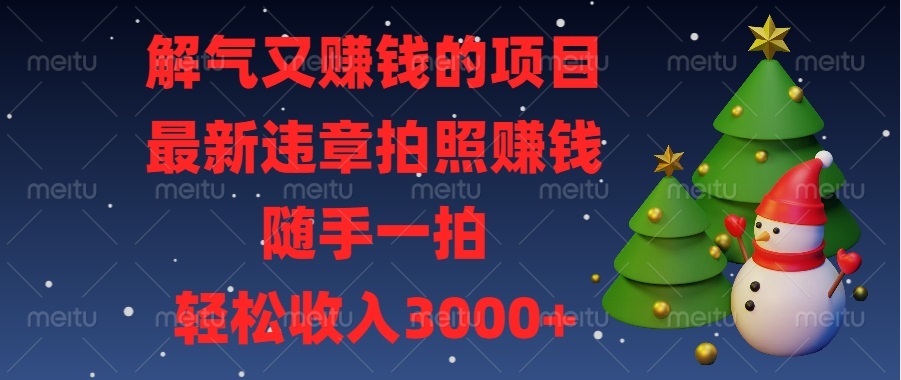 解气又赚钱的项目，最新违章拍照赚钱，随手一拍，轻松收入3000+-九鹄轻创网